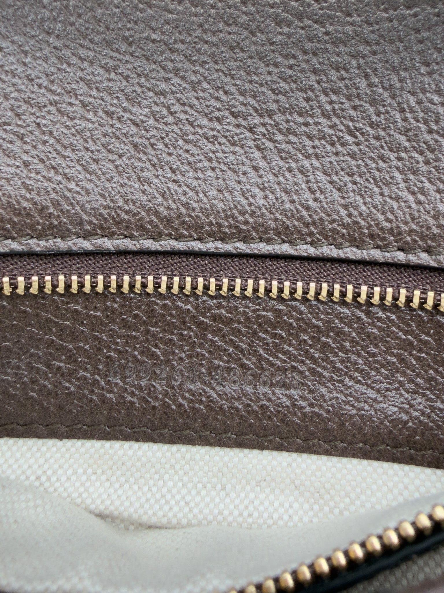 Gucci GG Supreme Blondie Chain Shoulder Flap Bag Beige Ebony