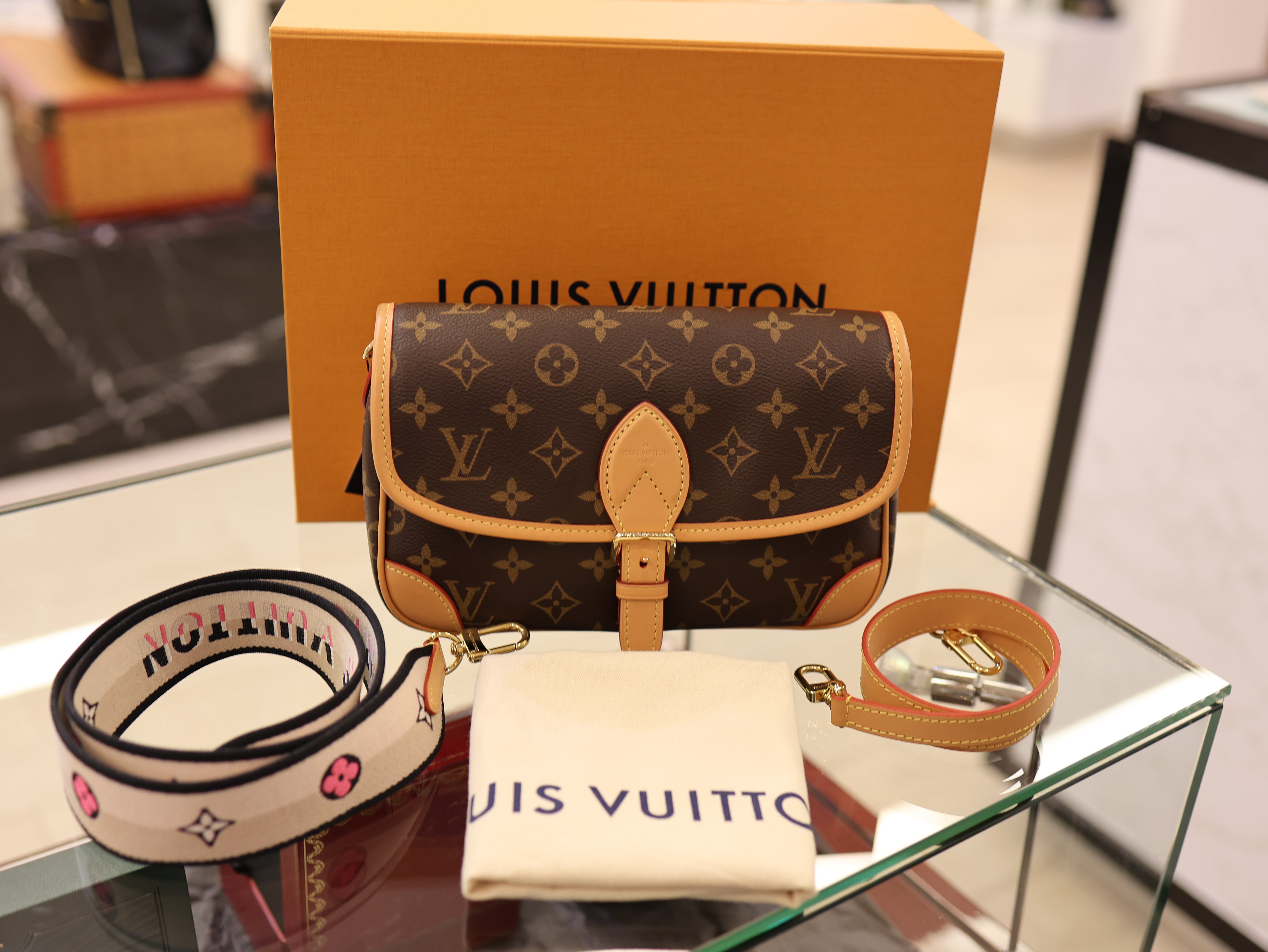 Louis Vuitton Diane Monogram Canvas