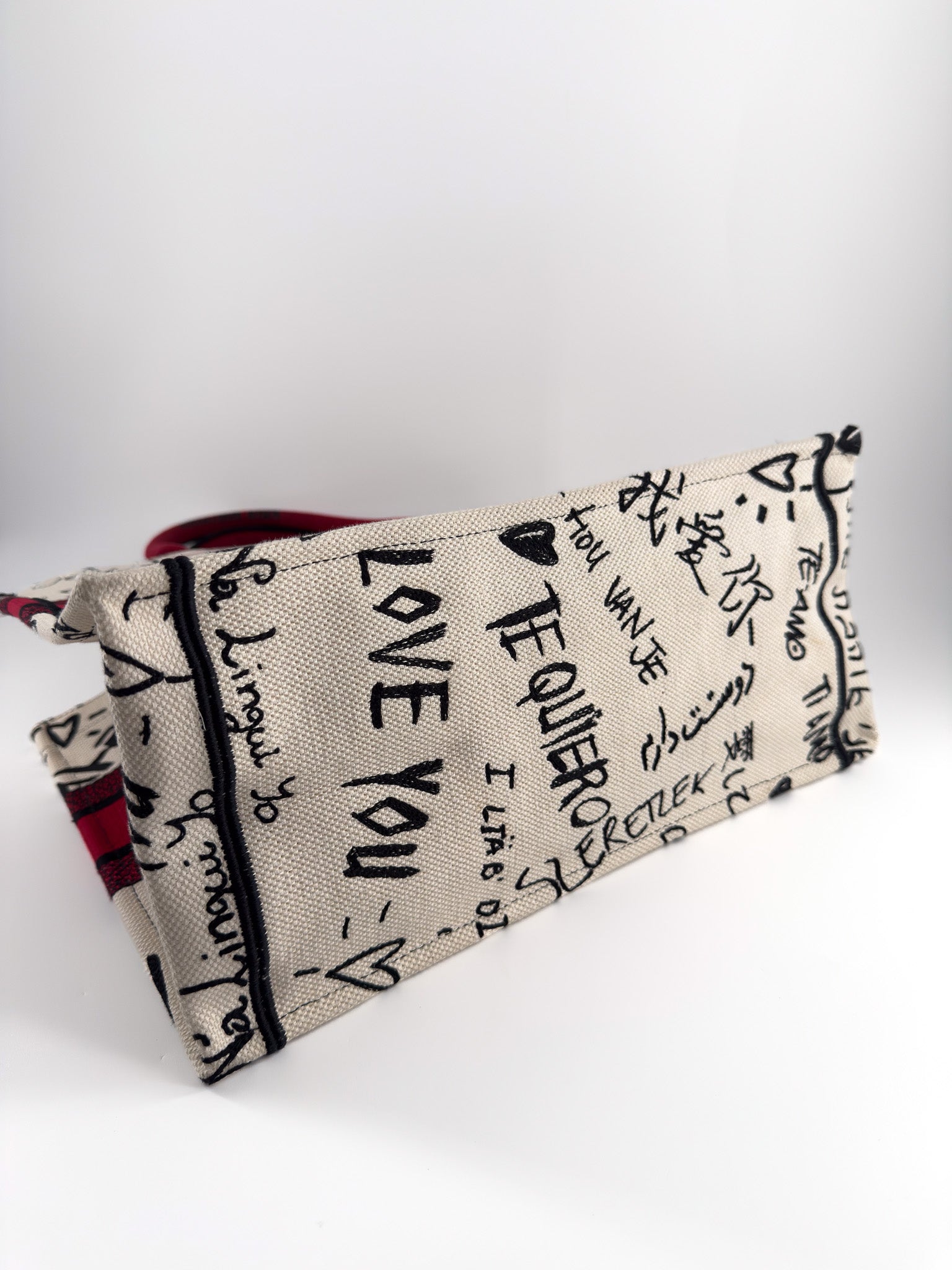 CHRISTIAN DIOR Canvas Embroidered Medium Dioramour Graffiti Book Tote Latte Multicolor