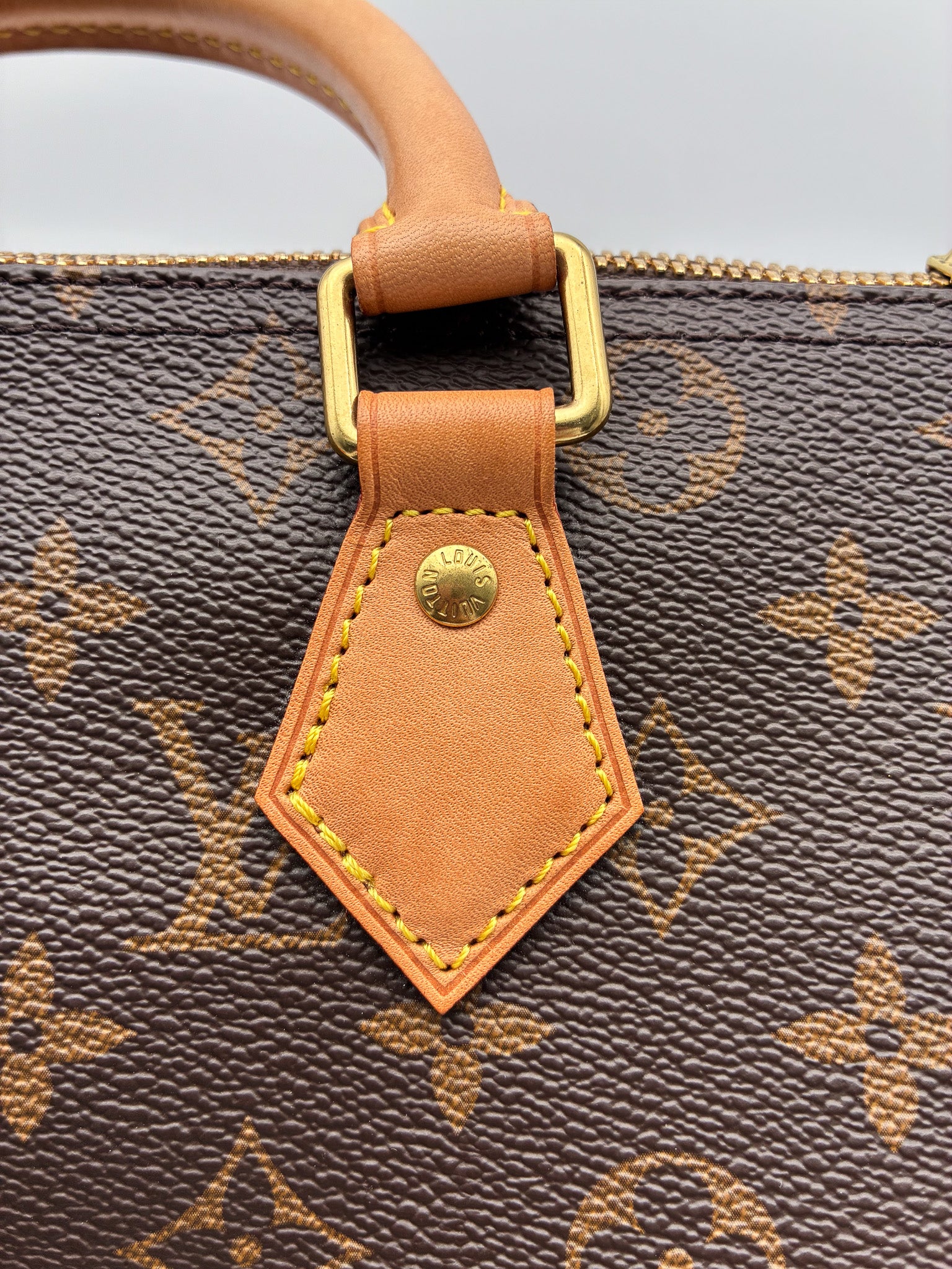 Louis Vuitton Speedy 30 Bando in Monogram