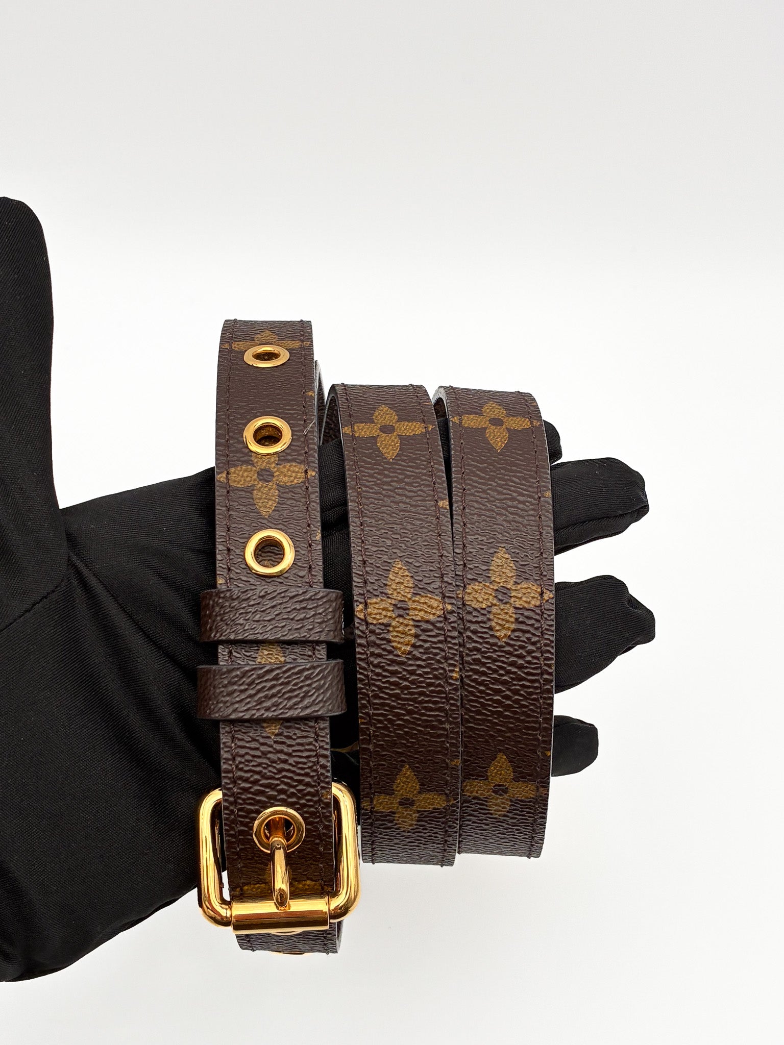 Louis Vuitton Pochette Metis in monogram