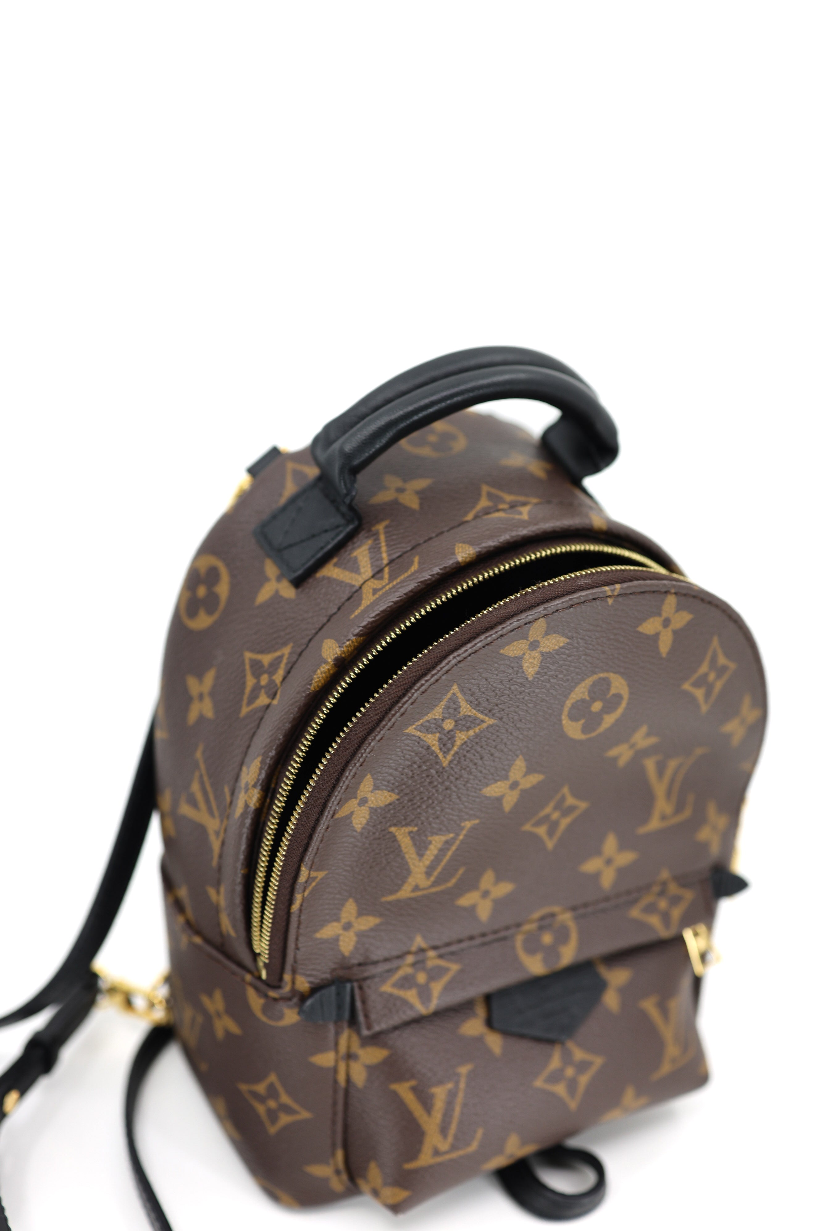 Louis Vuitton  Monogram Palm Springs Backpack Mini