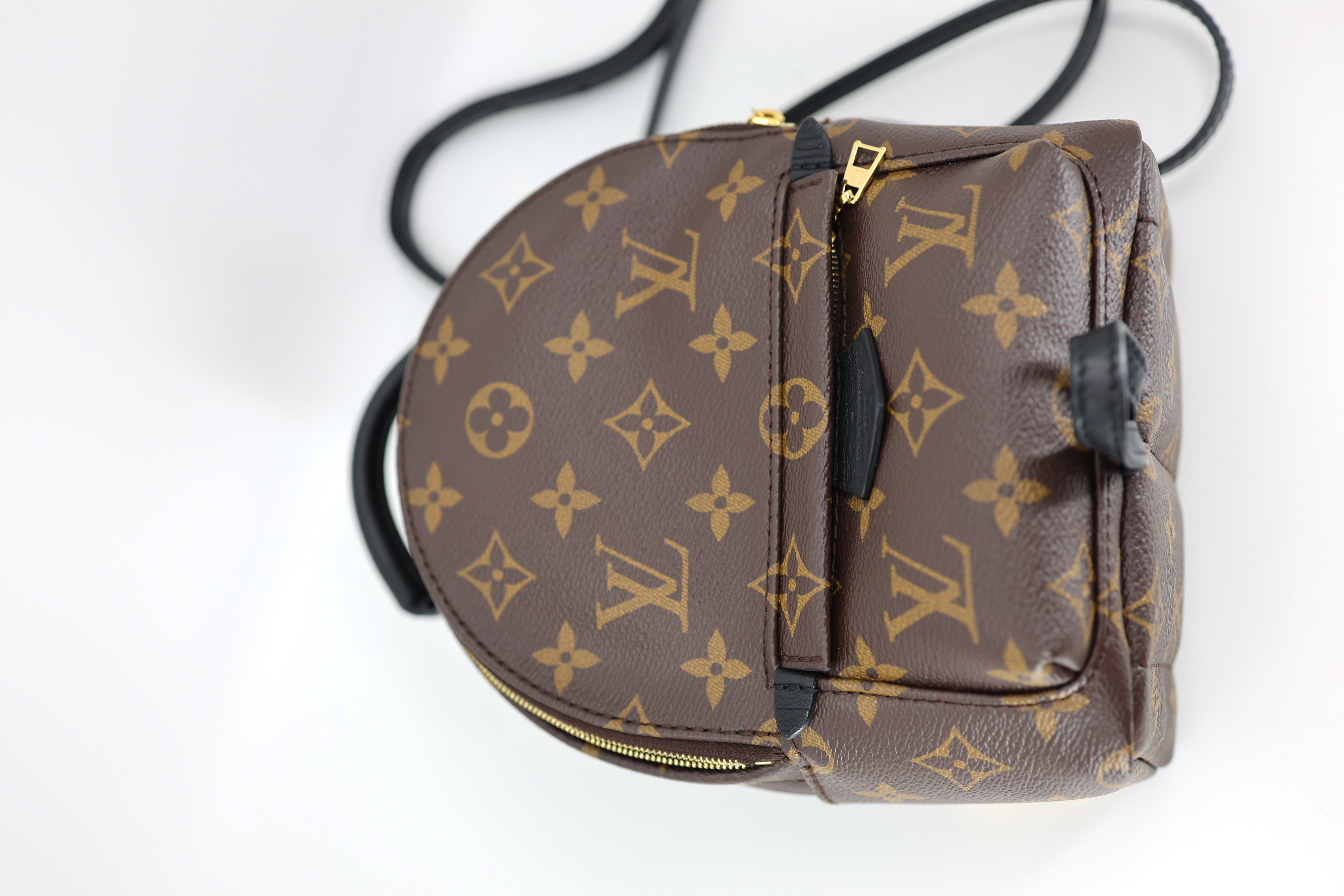 Louis Vuitton  Monogram Palm Springs Backpack Mini