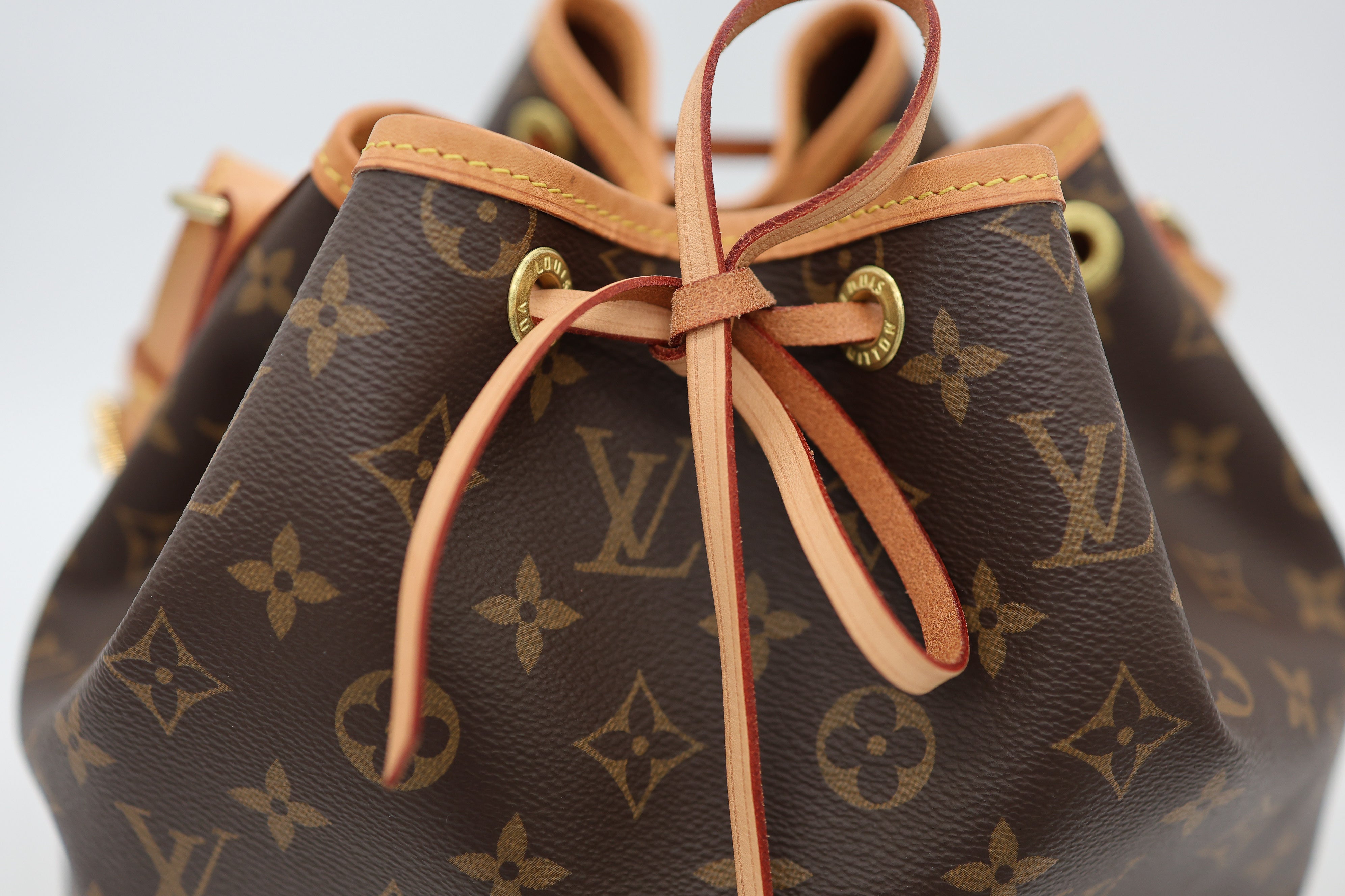 Louis Vuitton Monogram Canvas Petit Noe Bag