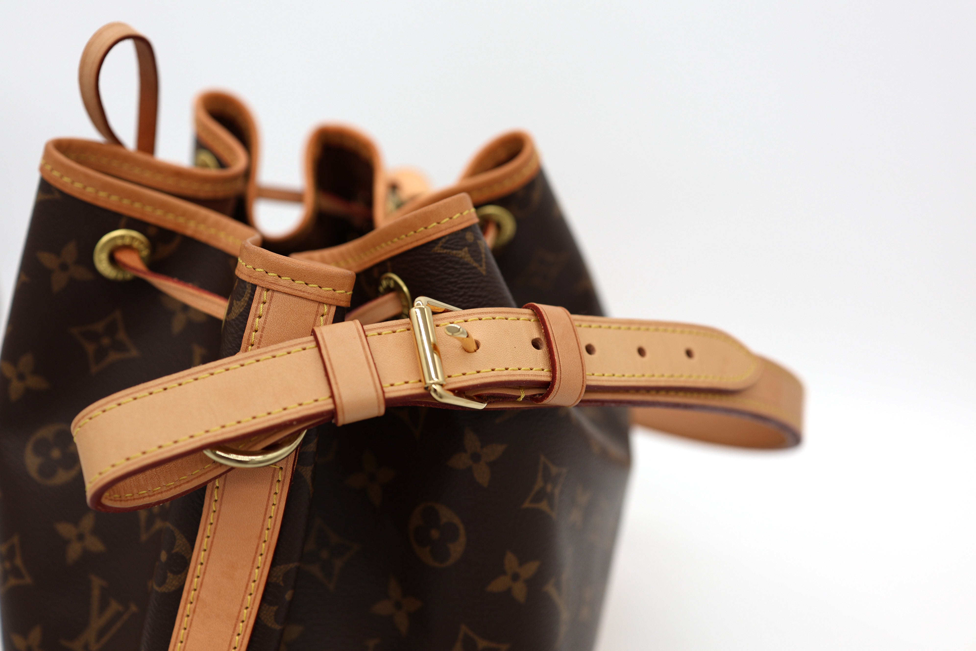 Louis Vuitton Monogram Canvas Petit Noe Bag