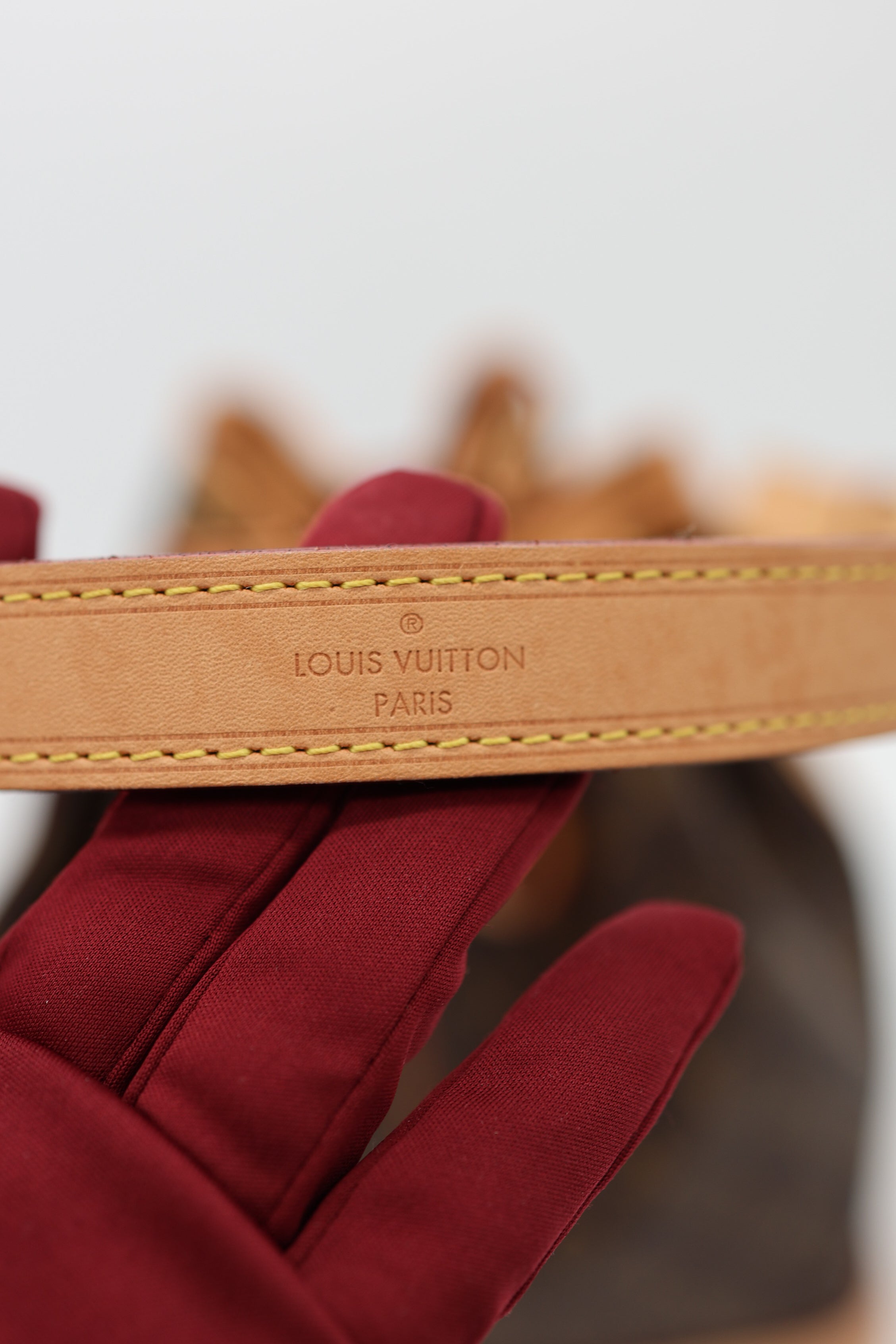 Louis Vuitton Monogram Canvas Petit Noe Bag